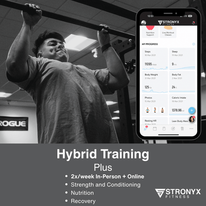 Hybrid Training
